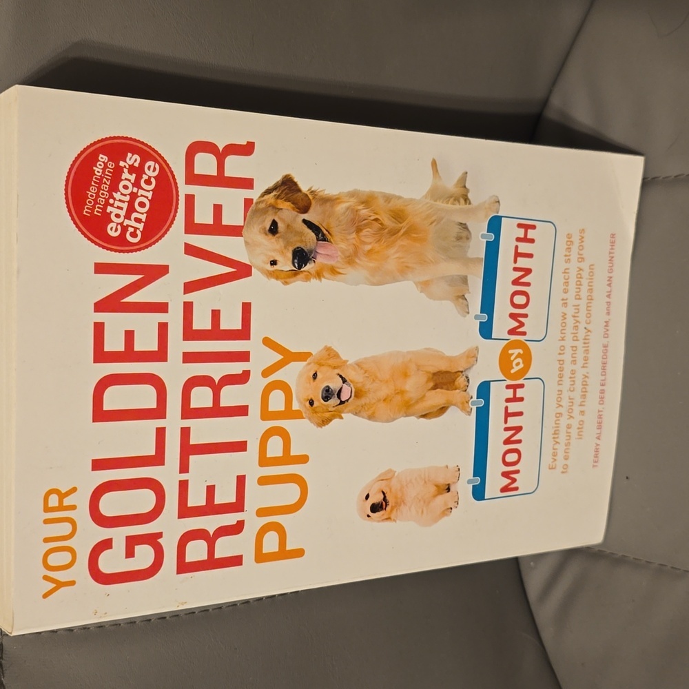 EUC Your Golden Retriever Puppy